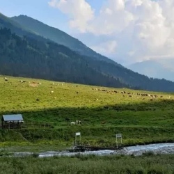 День 1. Прибытие в Минеральные Воды.