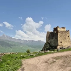 День 7. Заключительный день