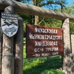 День 4. Дорога в Дагомыс