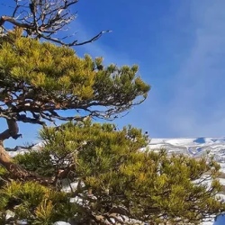 День 2. Каньон реки Белой (Хаджохская теснина).