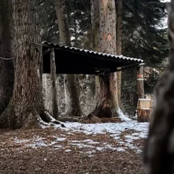 День 1. Поляна Тырлово