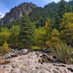 День 1. Встреча группы в минеральных водах