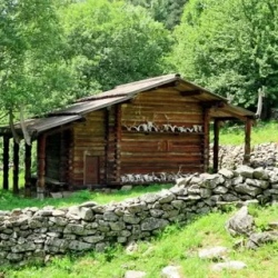 День 4. Альпийский Цей