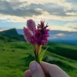 День 1. Встреча группы и знакомство с Кисловодском