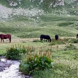 День 4. Перевал Ацгара и озеро Медвежье
