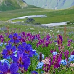 День 6. Спуск и финиш