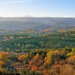 День 1. Очаровательный город-курорт Кисловодск