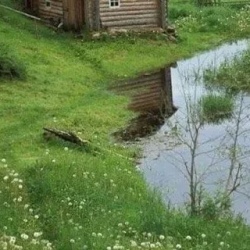 День 1. 1 день