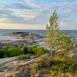 День 1. Ладожские шхеры, лесные тропы, водопад.