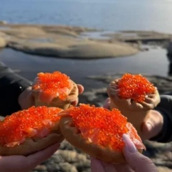 День 3. Самый высокий водопад и калитки