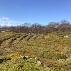 День 1. Вторник