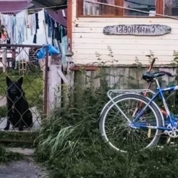 День 1. Прибытие в г. Кемь, отправление на Соловки