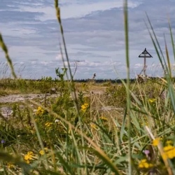 День 2. Ботанический сад, велопрогулка на мыс Печак