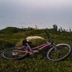 День 2. Ботанический сад, велопрогулка на мыс Печак