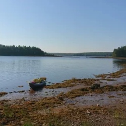 День 6. Отъезд в Нижнюю Пулонгу
