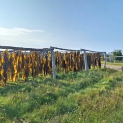 День 4. Четверг