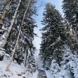 День 4. Петрозаводск