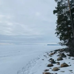 День 4. Петрозаводск