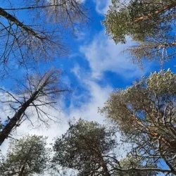 День 5. Деревня Гирвас, водопад Кивач