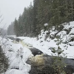 День 5. Деревня Гирвас, водопад Кивач