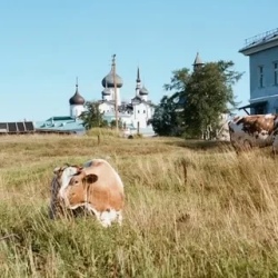 День 4. Соловецкие острова