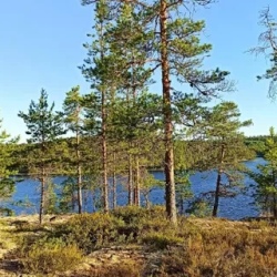 День 2. Перезагрузка