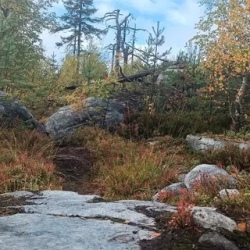 День 1. Приезд