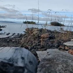 День 4. В лесах Карелии