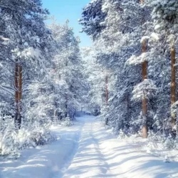 День 5. Костомукша