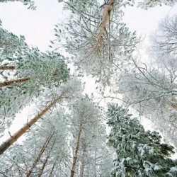 День 6. Костомукша