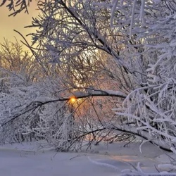 День 6. Костомукша