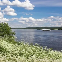 День 2. Петрозаводск: программа на выбор: