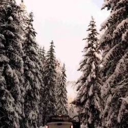 День 2. Лесные озера