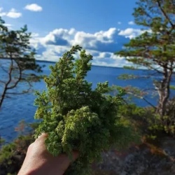 День 4. Морская экспедиция