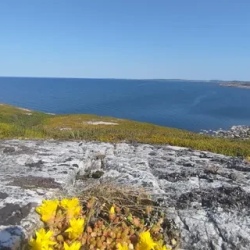 День 4. Морская экспедиция