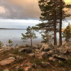 День 7. Пора домой.