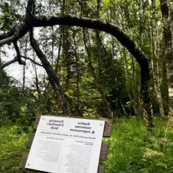 День 3. Понедельник