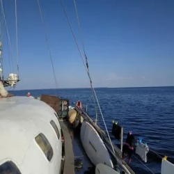 День 7. Путь домой