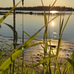 День 4. 4 день. Морская прогулка.