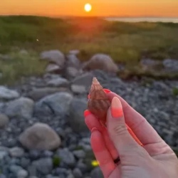 День 6. 6 день. Каменный пляж.