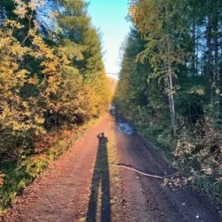 День 1. Дорога на Ягодное