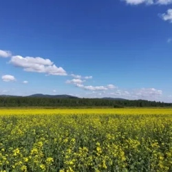 День 7. Прогулки по Златоусту — вылет домой