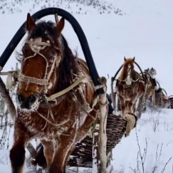 День 2. Продолжение программы