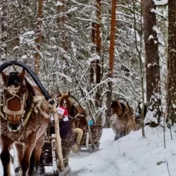 День 2. Продолжение программы