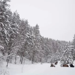 День 3. Продолжение программы