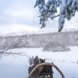 День 4. Продолжение программы
