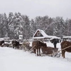 День 4. Продолжение программы