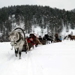 День 5. Продолжение программы