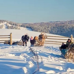 День 5. Продолжение программы