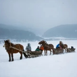День 6. Завершение программы